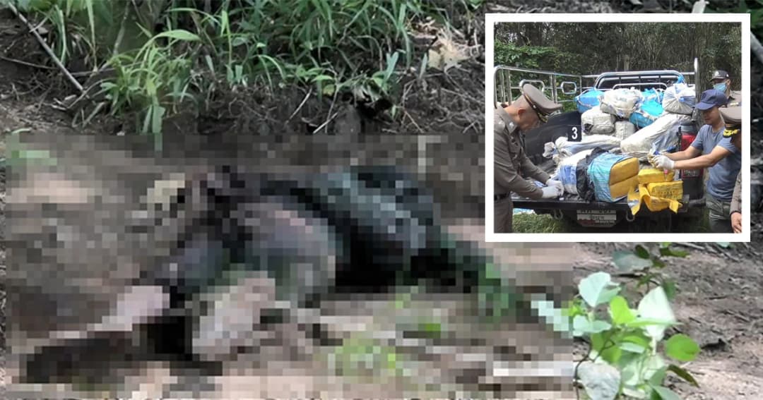 จนท.ปะทะขบวนการขนเสพติด วิสามัญฯ ดับ 1 พบของกลาง 50 กระสอบ