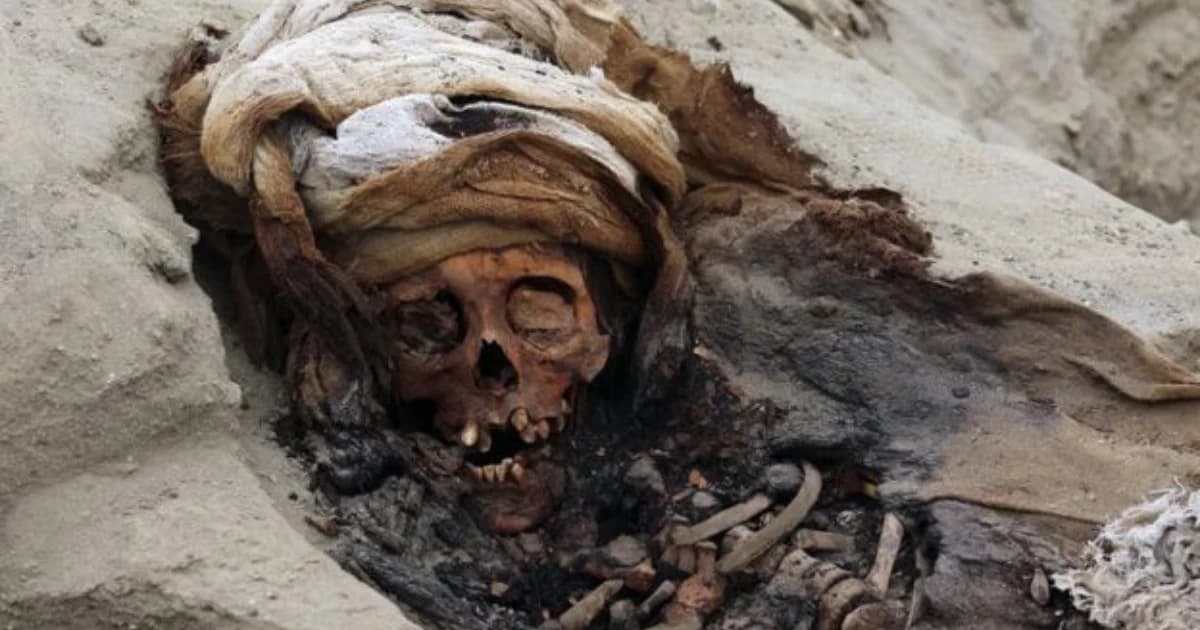 นักโบราณคดีเปรูพบหลุมศพเด็กบูชายัญขนาดใหญ่ที่สุด พบร่างเด็ก 227 ร่าง