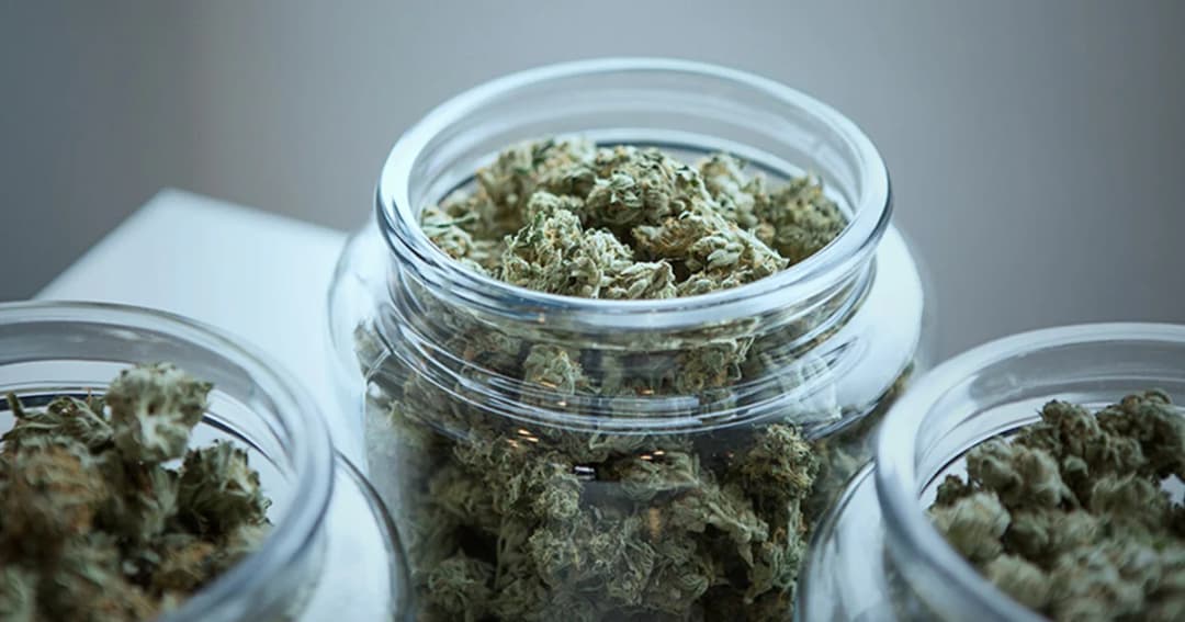 กระทรวงสาธารณสุข ประกาศปลดล็อคสารสกัด CBD บริสุทธิ์ และ THC ไม่เกิน 0.2% ไม่เป็นยาเสพติด