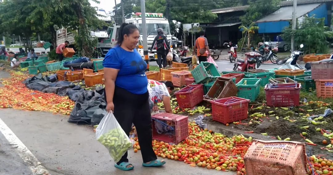 ชาวบ้านเฮโลเก็บมะเขือ-พริกหลังรถบรรทุกเทกระจาด