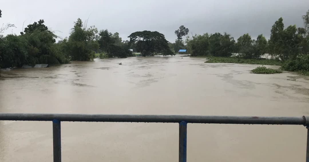 กรมส่งเสริมการเกษตรเตรียมประกาศพื้นที่ให้ความช่วยเหลือเกษตรกรถูกน้ำท่วม