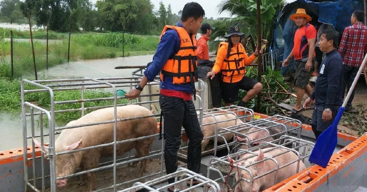 พายุโพดุลและคาจิกิคร่า 24 ชีวิต ล่าสุด 8 จังหวัดภาคกลาง-อีสานยังถูกน้ำท่วมสูง