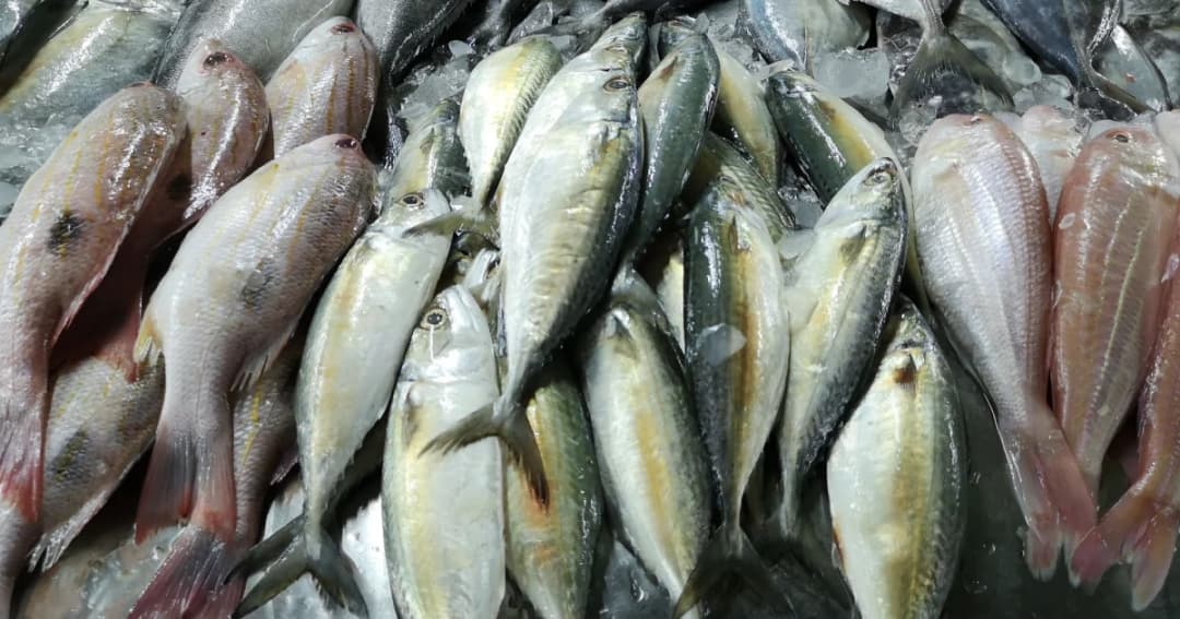 แม่ค้าปลาทู ตื่นรับกระแสไมโครพลาสติกในปลาทูทะเล