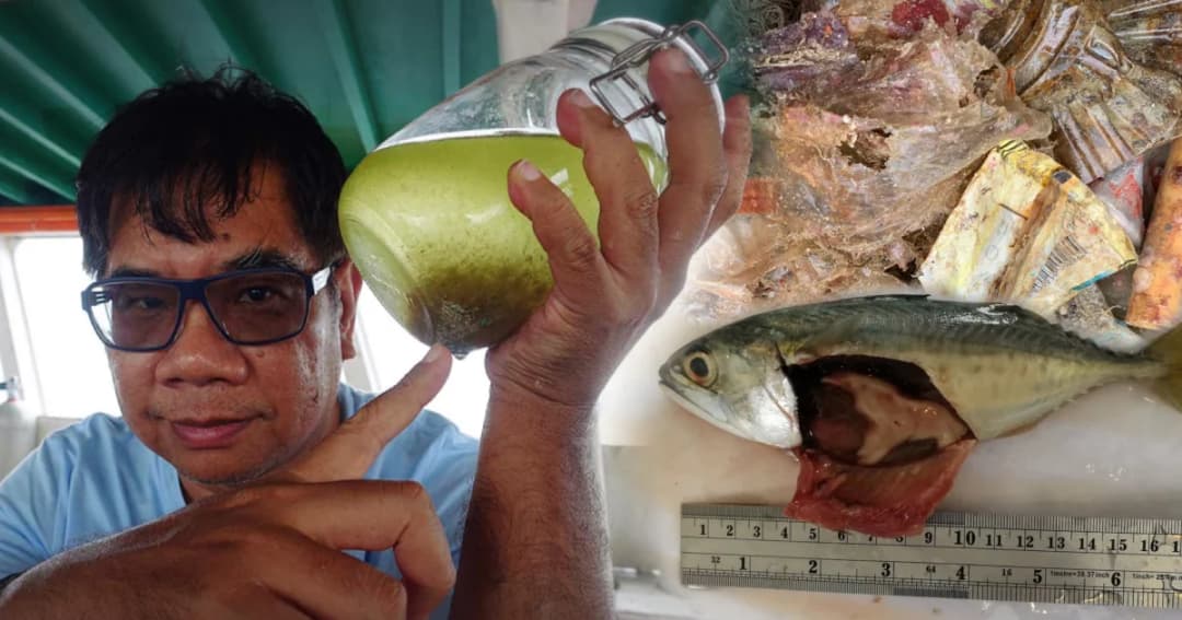 ดร.ธรณ์ เปิดที่มาไมโครพลาสติกในท้องปลาทู