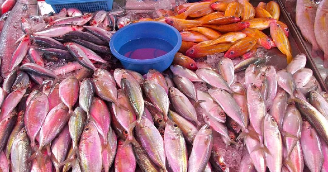 เมียนมาเตรียมตรวจเข้ม “ปลา-กุ้ง” จากไทยใช้ฟอร์มาลินหรือไม่