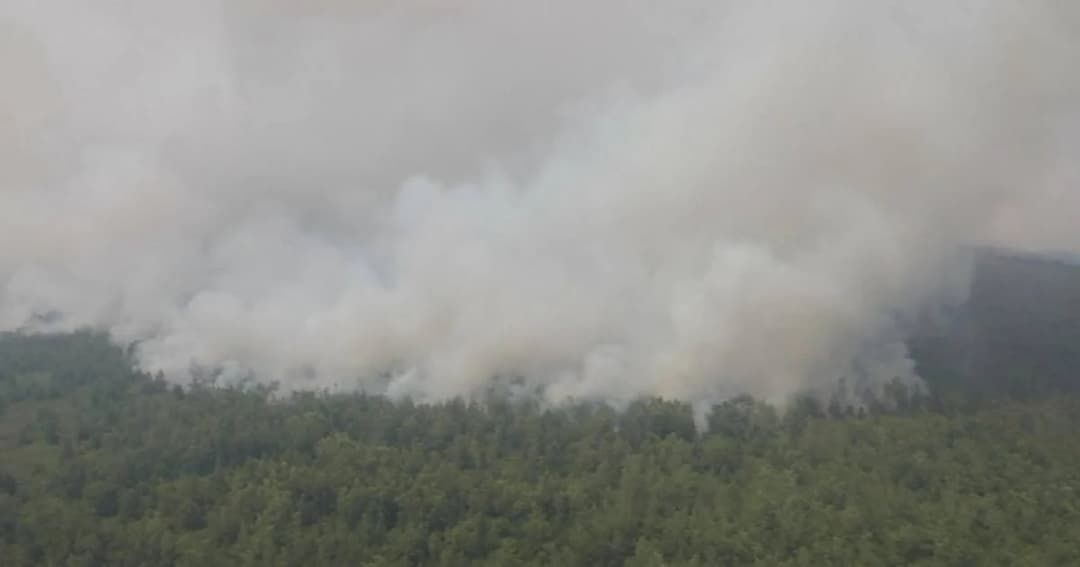 รวบ! ผู้ต้องสงสัย 200 คน คาดเกี่ยวข้องไฟไหม้ป่าอินโดนีเซีย