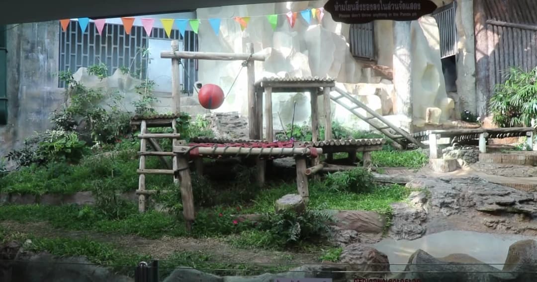 ทีมพี่เลี้ยงแต่งชุดดำไว้อาลันแพนด้าช่วงช่วง