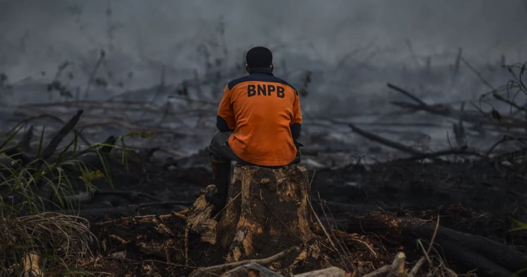 อินโดนีเซียจับผู้ต้องสงสัยเผาป่า 230 คน