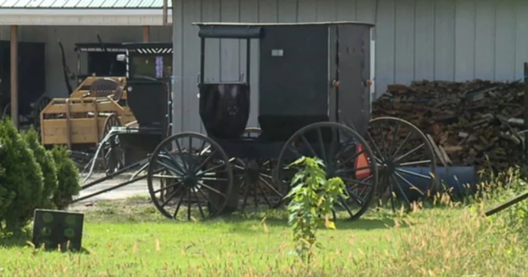 2 หนุ่มมะกันหลบหนี หลังถูกตำรวจตามจับข้อหาเมาแล้วขับรถม้า