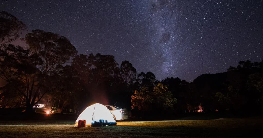 อังกฤษปิ๊งไอเดียให้อุทยานอนุญาตให้เด็กเข้าไปทัศนศึกษาตอนกลางคืนเพื่อเรียนรู้ธรรมชาติ