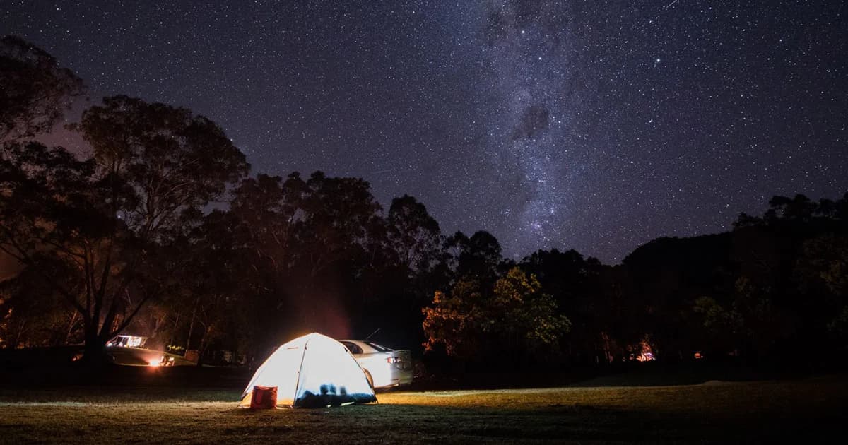 อังกฤษปิ๊งไอเดียให้อุทยานอนุญาตให้เด็กเข้าไปทัศนศึกษาตอนกลางคืนเพื่อเรียนรู้ธรรมชาติ