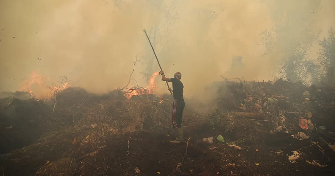 ไฟป่าอินโดนีเซียลุกลามแล้วนับสัปดาห์ คาดควันไฟปกคลุมภาคใต้ของไทยถึงเดือน ต.ค.