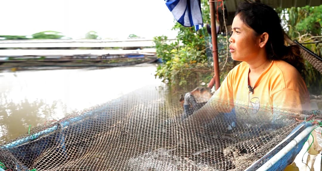 ผู้เลี้ยงปลา จ.อุบลฯ เครียดเงินแสนหายไปกับตาหลังปลากระชังตายเพราะน้ำท่วม