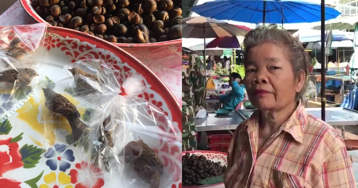 ยายเผยขายนกใส่ถุงเจาะรู ไม่คิดว่าจะเป็นการทรมานสัตว์