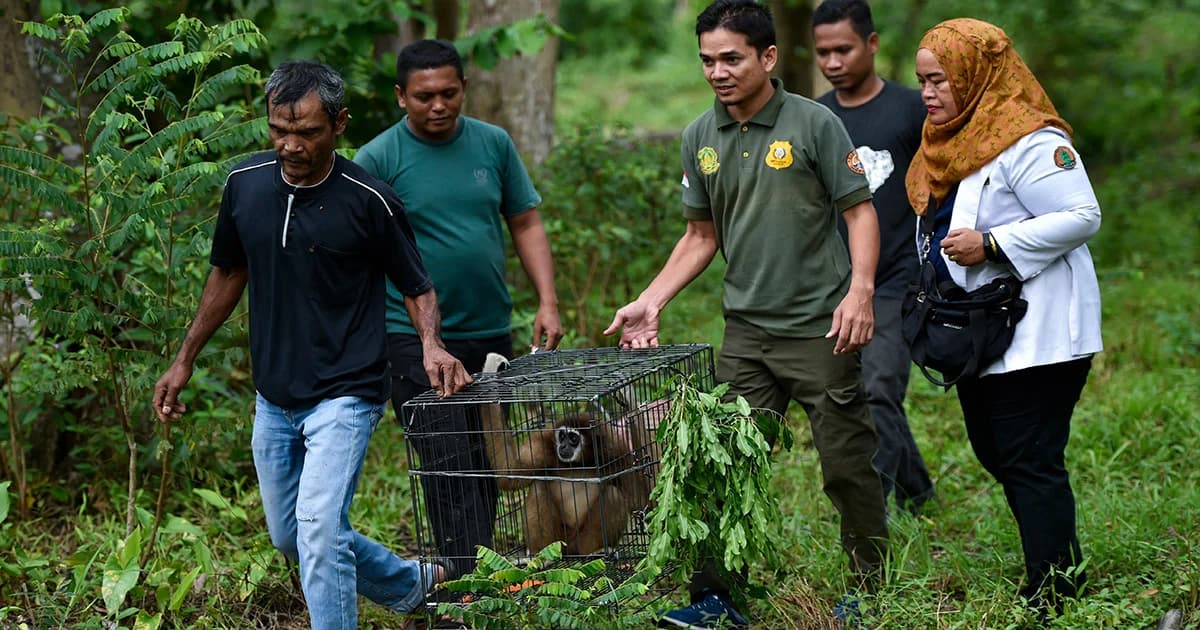 อินโดนีเซียเตรียมประกาศใช้กฎหมายชารีอะห์ เพื่อคุ้มครองสัตว์ป่า