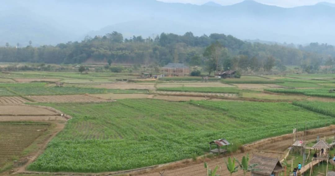 เลื่อนเก็บภาษีที่ดินฯ ตามกฎหมายใหม่ไป ส.ค. 63 รอกฏหมายลูกเสร็จ