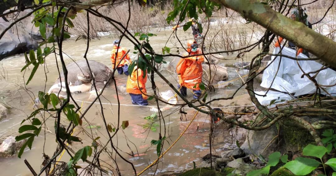 เจ้าหน้าที่ชำแหละซากช้างป่าเหวนรกได้แล้ว 1 ตัว เร่งกู้ซากที่เหลือต่อ