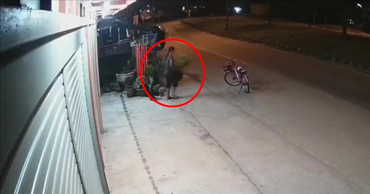 สาวเมียนมาปั่นจักรยานสุดชิล ขโมยกระถางต้นไม้ชาวบ้านนับ 10 ต้น