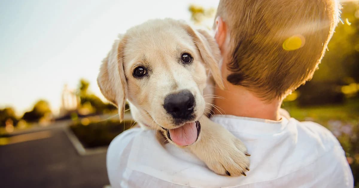งานวิจัยสหรัฐฯ พบ การเลี้ยงสุนัข ช่วยลดความเสี่ยงเสียชีวิตจากทุกสาเหตุลง 24%