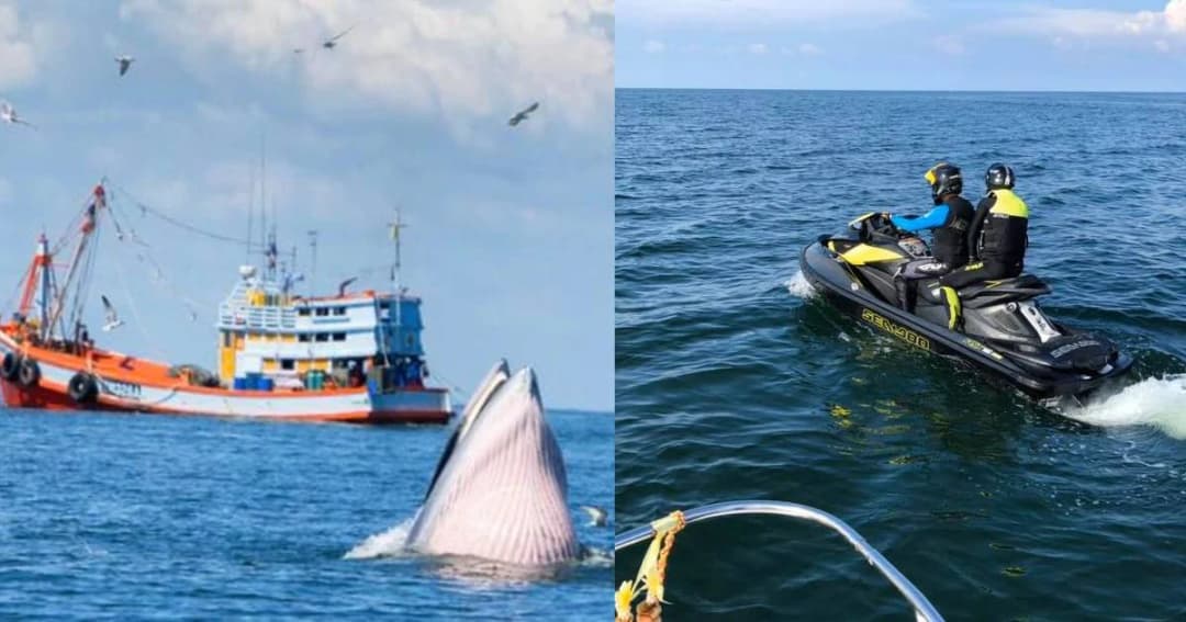 วราวุธ ถามหาจิตสำนึกกลุ่มเจ็ตสกีขับกวนวาฬบรูด้าทะเลเพชรบุรี