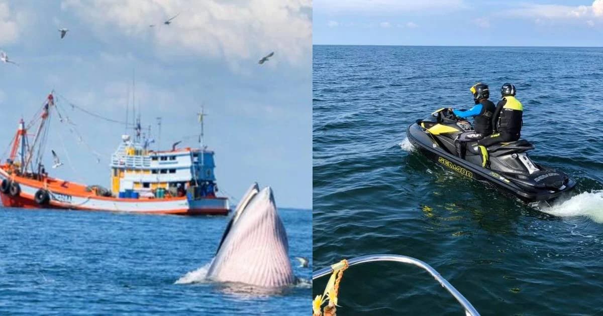 วราวุธ ถามหาจิตสำนึกกลุ่มเจ็ตสกีขับกวนวาฬบรูด้าทะเลเพชรบุรี