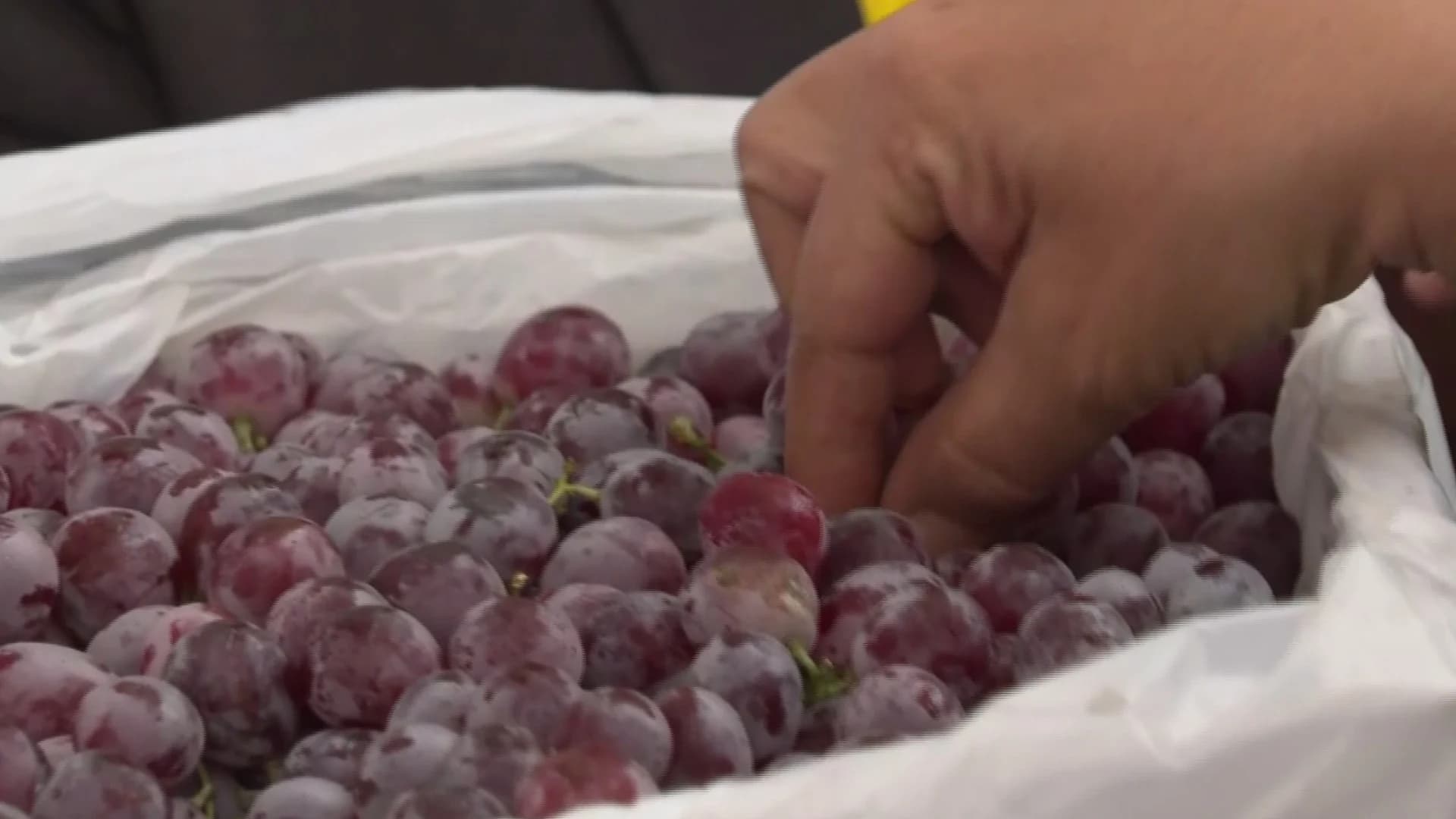 กมธ.พิจารณาสารเคมีฯ ลงพื้นที่สุ่มตรวจผักตลาดไท