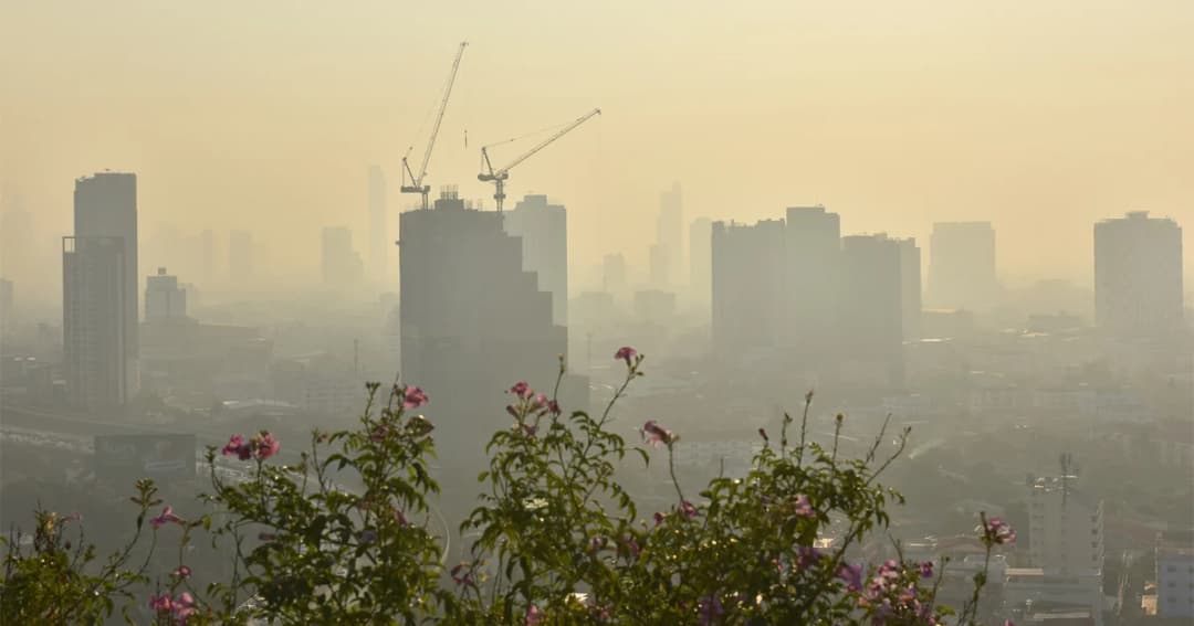 เช้านี้ฝุ่น PM2.5 เกินค่ามาตรฐาน 65 พื้นที่ ขอประชาชนควรระวังสุขภาพ