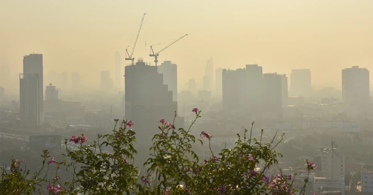 เช้านี้ฝุ่น PM2.5 เกินค่ามาตรฐาน 65 พื้นที่ ขอประชาชนควรระวังสุขภาพ