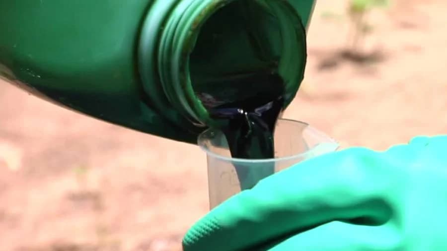 สธ. ย้ำจุดยืนแบน 3 สารเคมีอันตรายทางการเกษตร