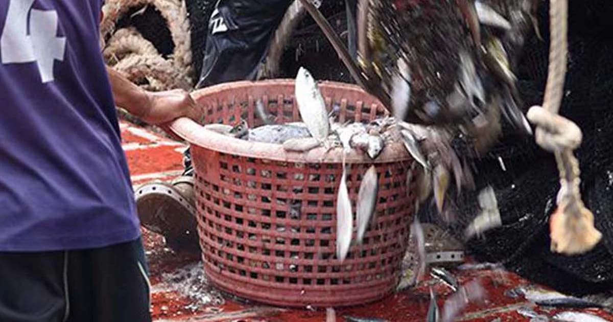 พาณิชย์ตั้งโต๊ะแถลง 28 ต.ค. กรณีสหรัฐฯตัดสิทธิGSPสินค้าไทย