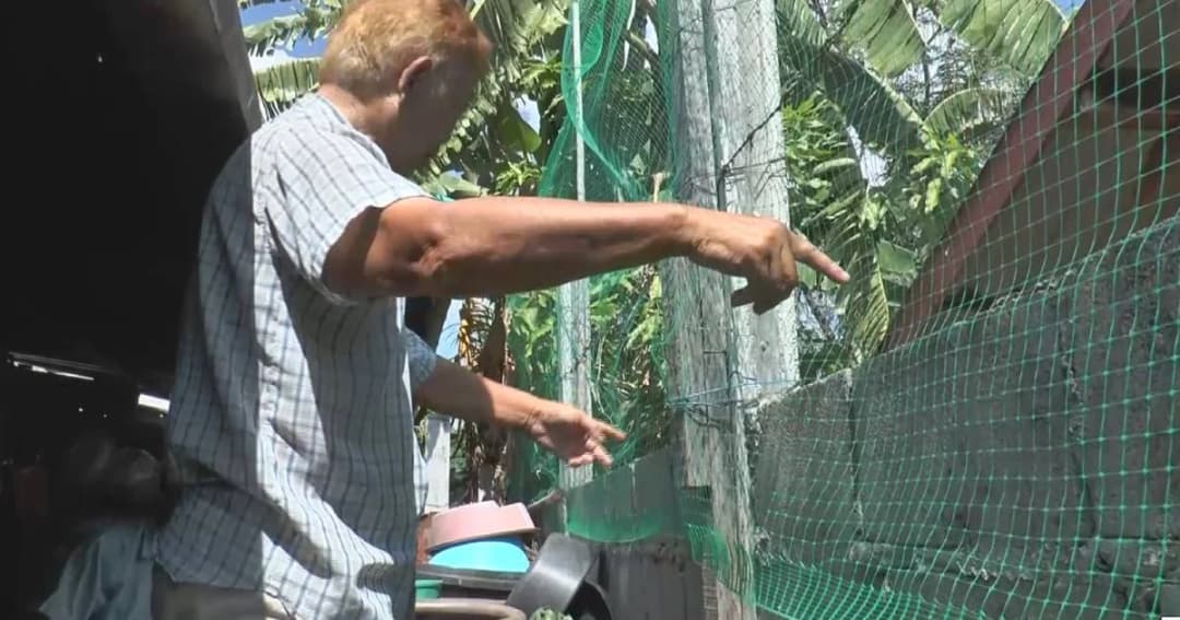 ลูกสาวร้อง! เพื่อนบ้านล้อมรั้วปล่อยไฟฟ้า แม่ถูกชอร์ตอาการสาหัส