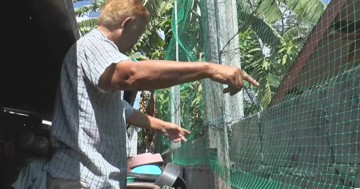 ลูกสาวร้อง! เพื่อนบ้านล้อมรั้วปล่อยไฟฟ้า แม่ถูกชอร์ตอาการสาหัส