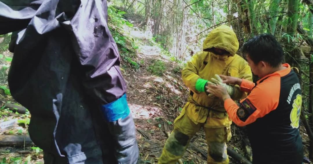 ไกด์นำฝรั่งเที่ยวเจอฝูงต่อมรณะไล่ต่อยดับคาป่าเชียงใหม่