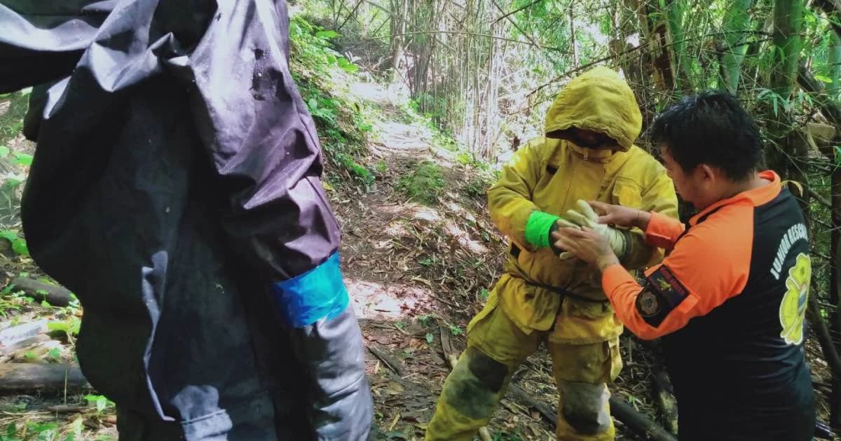 ไกด์นำฝรั่งเที่ยวเจอฝูงต่อมรณะไล่ต่อยดับคาป่าเชียงใหม่