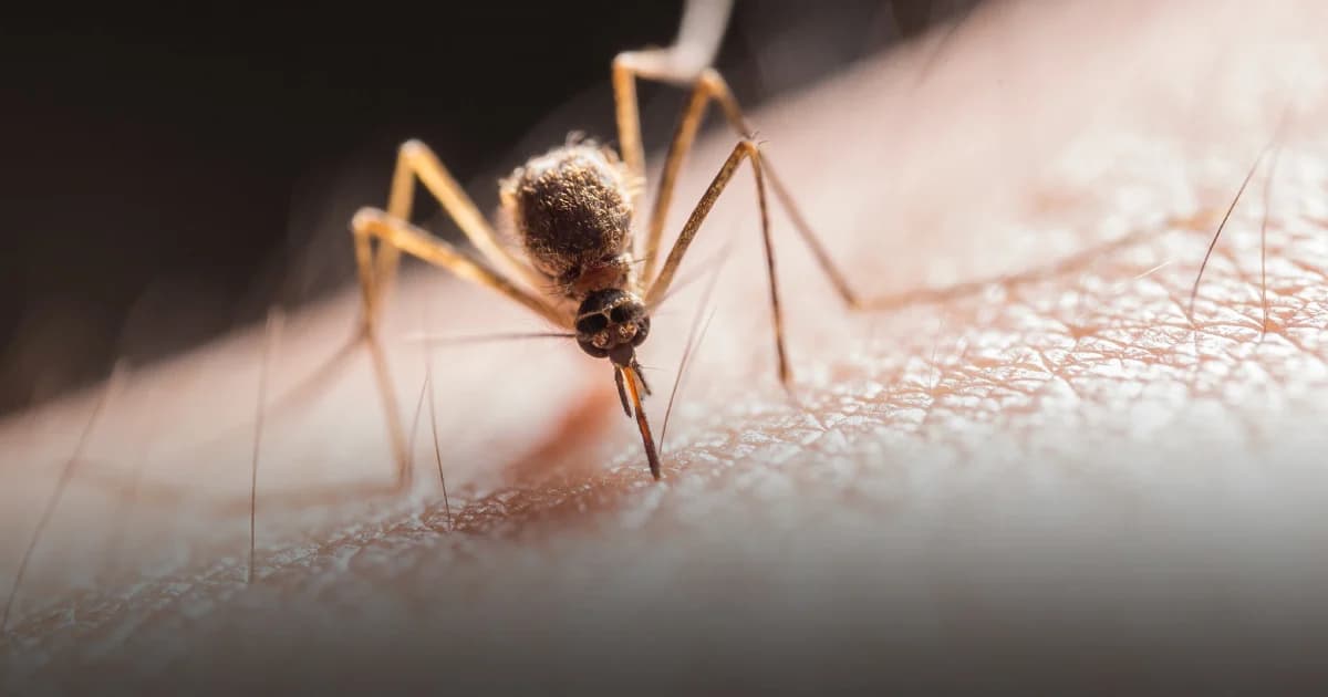 กรมควบคุมโรค เตือนแมลงกัดจนเป็นแผล ไม่ทำความสะอาดเสี่ยงโรคเนื้อเน่า