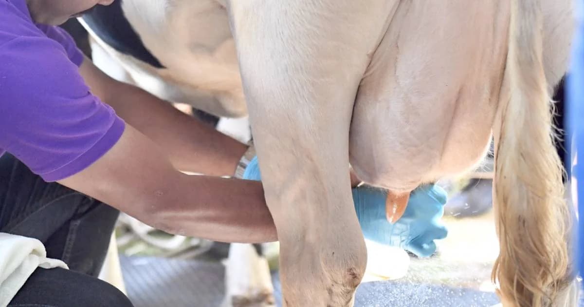 อ.เจษฎา เตือน “ไม่ควรดื่มน้ำนมดิบ อันตรายจากเชื้อโรค”