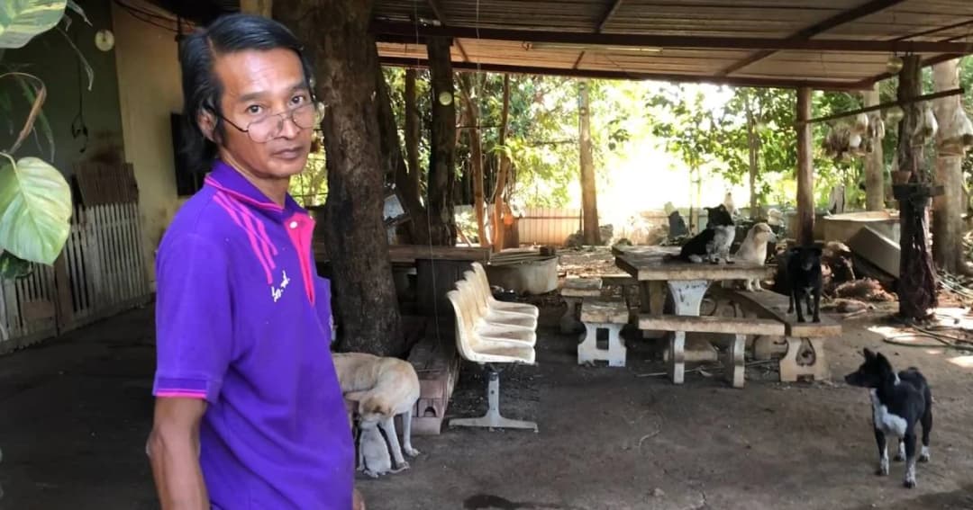 อดีตพนักงานแบงก์ประกาศขายไต หาเงินค่าข้าวให้หมาแมว