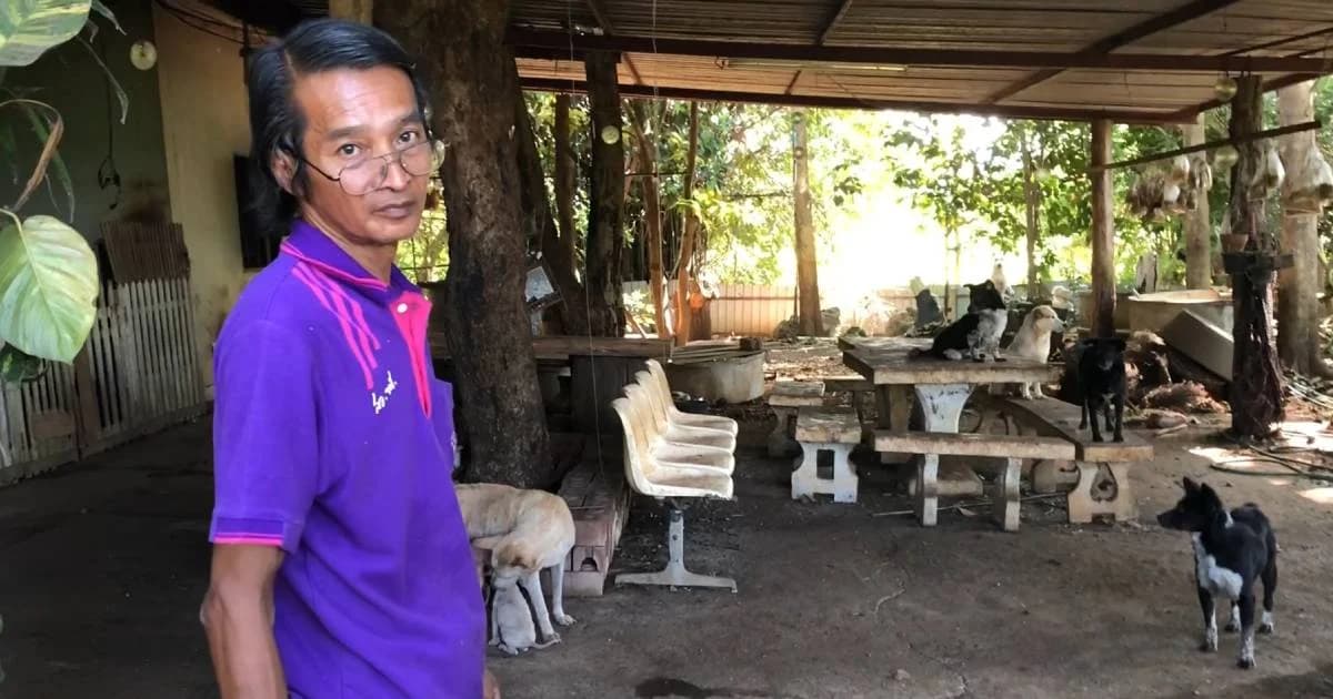 อดีตพนักงานแบงก์ประกาศขายไต หาเงินค่าข้าวให้หมาแมว