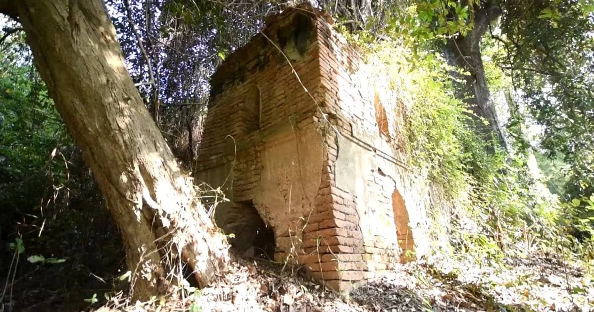 ให้เที่ยวเชิงนิเวศ ป่าผืนสุดท้ายลุ่มเจ้าพระยา กินพื้นที่ 3 วัดร้างสมัยอยุธยา