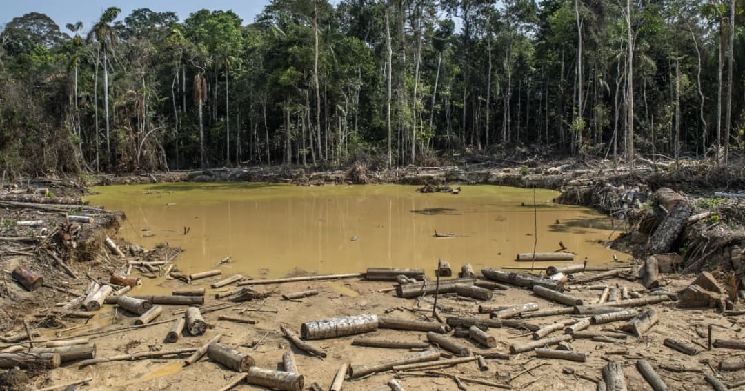 อัตราการตัดไม้ทำลายป่าในบราซิลพุ่งสูงสุดในรอบ 11 ปี