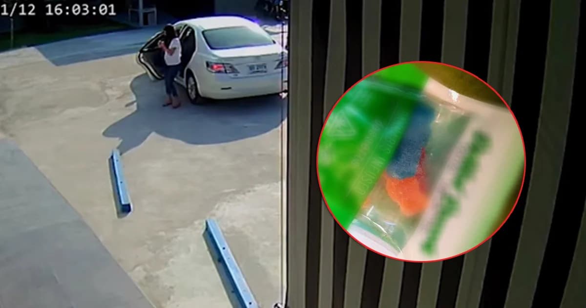 พบสารเสพติดกัญชาในปัสสาวะนักศึกษาสาวอ้างดารา ฟ. มอมยา