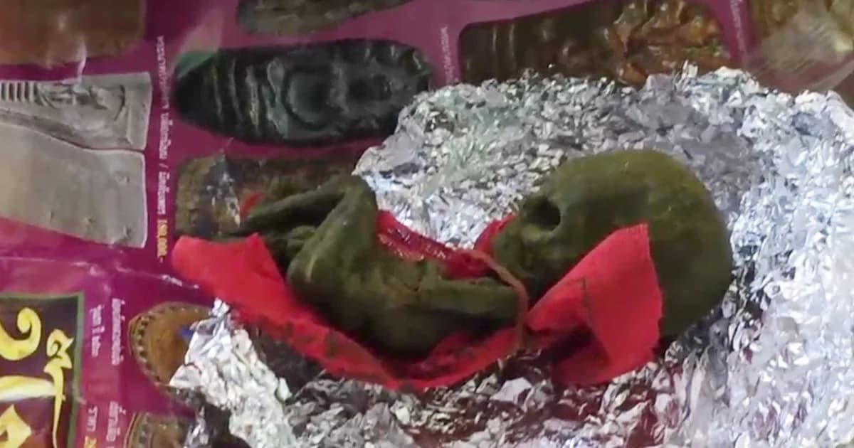 ผงะ! พบวัตถุคล้าย ‘ซากทารก’ ใส่กล่องพัสดุไปรษณีย์ส่งต่างประเทศ