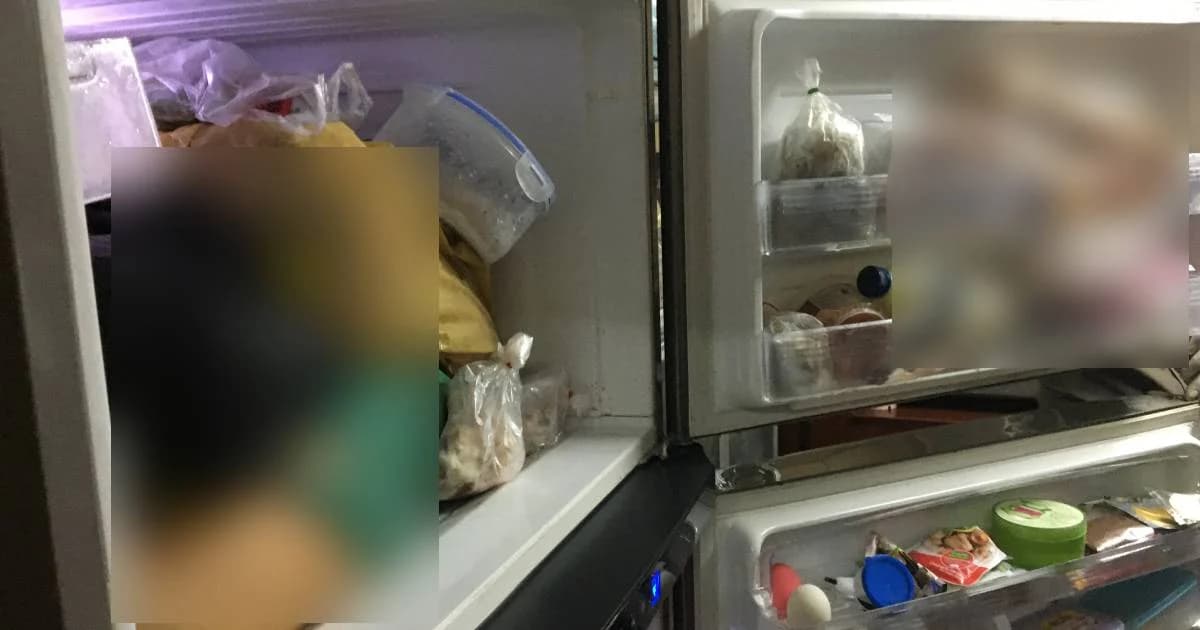 ลูกป่วยซึมเศร้าฆ่าแม่หั่นชิ้นส่วนยัดตู้เย็น ก่อนคว้าปืนยิงตัวเองสาหัส