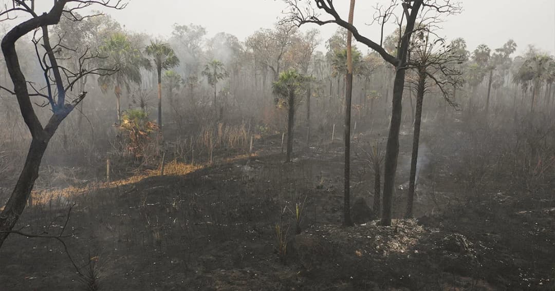 นักวิจัยเผยไฟป่าอเมซอนส่งผลให้ธารน้ำแข็งละลายเร็วขึ้น