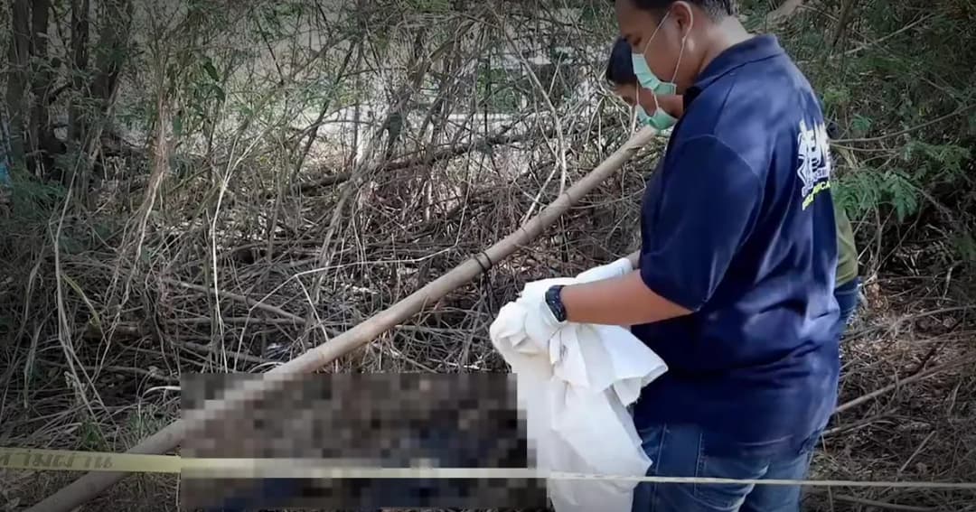 วินมอเตอร์ไซค์หนุ่มพบศพชายผูกคอตายในป่า คาดเสียชีวิตมาแล้วไม่ต่ำกว่า 10 วัน