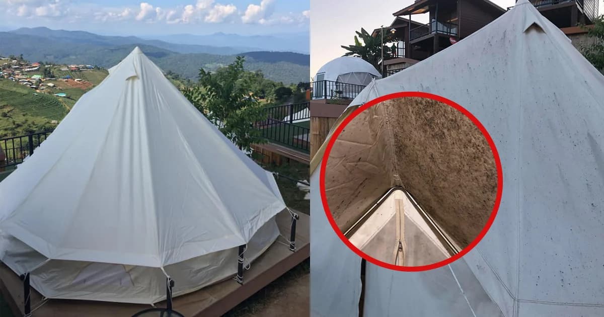 ม่อนสายลมยืดอกรับ “เต็นท์ขึ้นราจริง” หลังสาวรีวิวแฉ