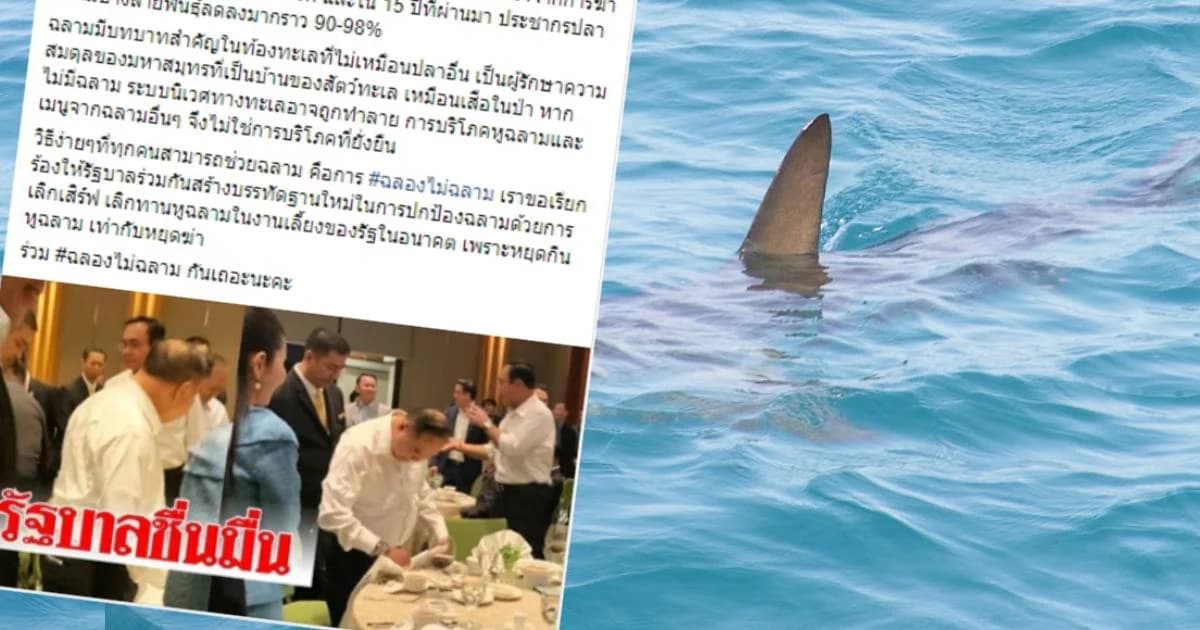 เอ็นจีโอเรียกร้องงานเลี้ยงของรัฐหยุดเสิร์ฟ “หูฉลาม” ชี้จีนแบนเมนูนี้ 7 ปีแล้ว