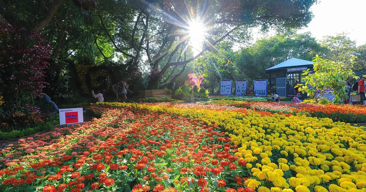 รวมโปรดีของฟรีวันพ่อแห่งชาติทั้งเดินทาง-กิน-เที่ยว