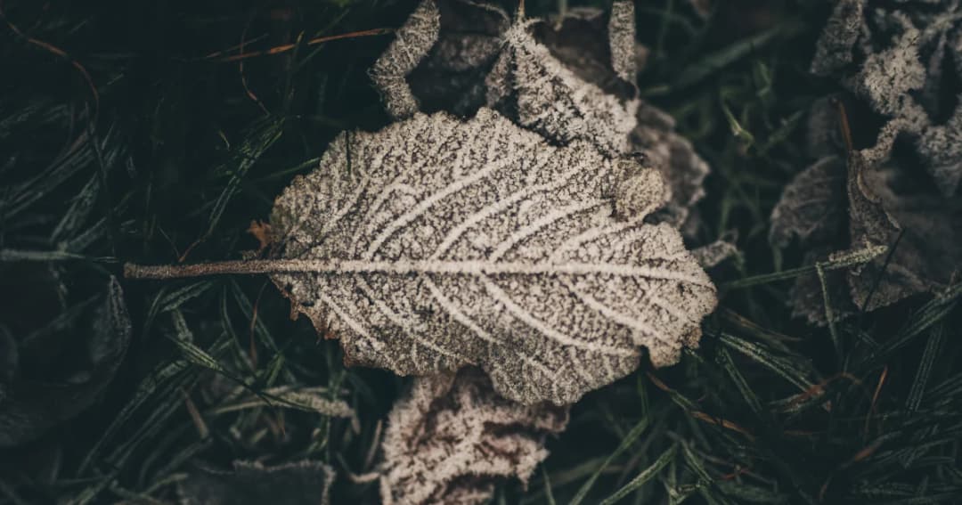 กรมอุตุฯ เตือนไทยตอนบนหนาวเย็นลง 4-6 องศา ลมแรง – ภาคใต้ตอนล่างฝนตกหนัก