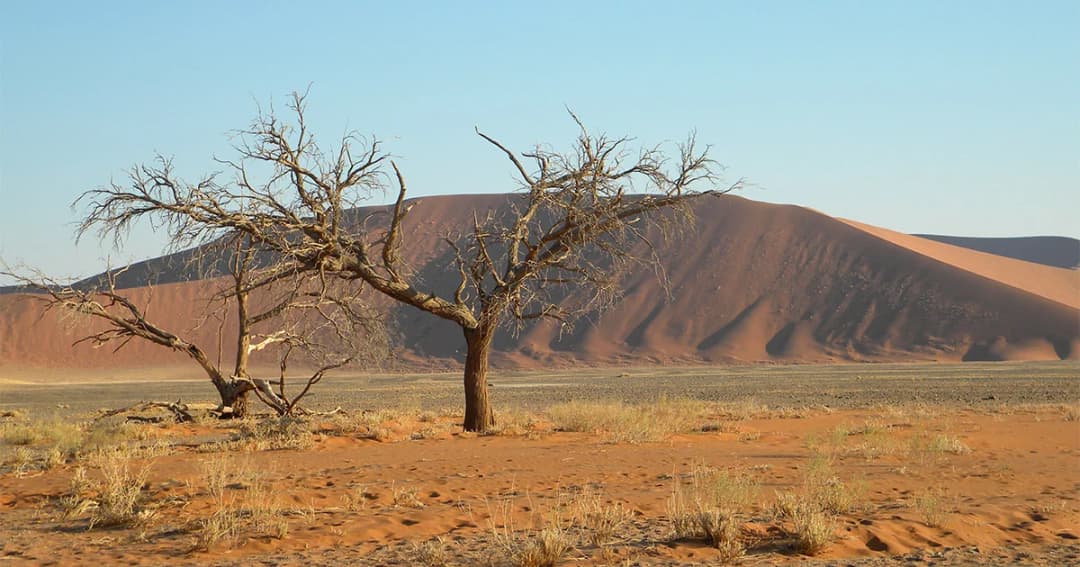 ผู้เชี่ยวชาญเตือนแอฟริกามีความเสี่ยงได้รับผลกระทบจากการเปลี่ยนแปลงสภาพภูมิอากาศมากกว่าทวีปอื่น